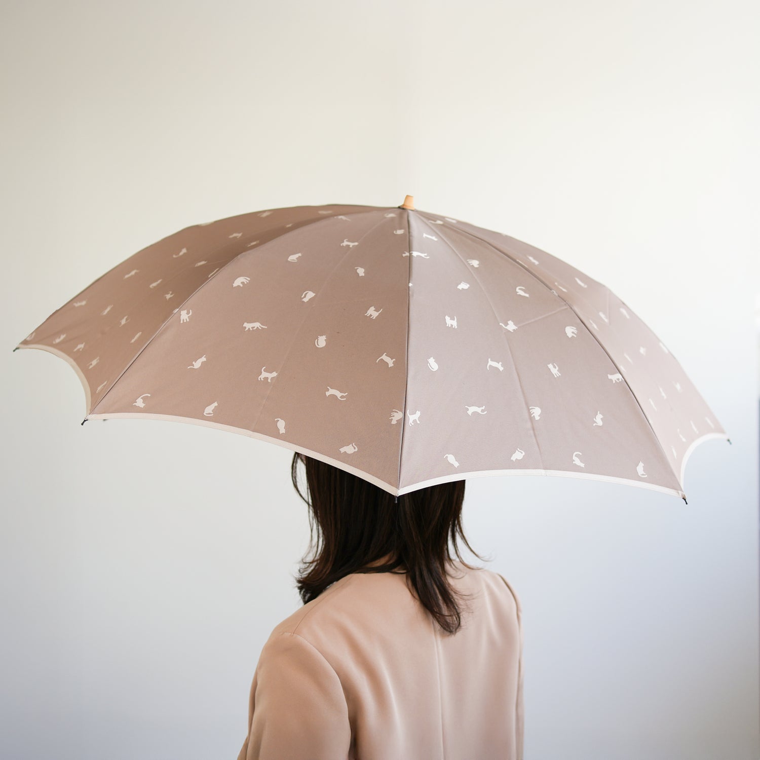 ひだまりねこ 折りたたみ傘 55cm 8本骨