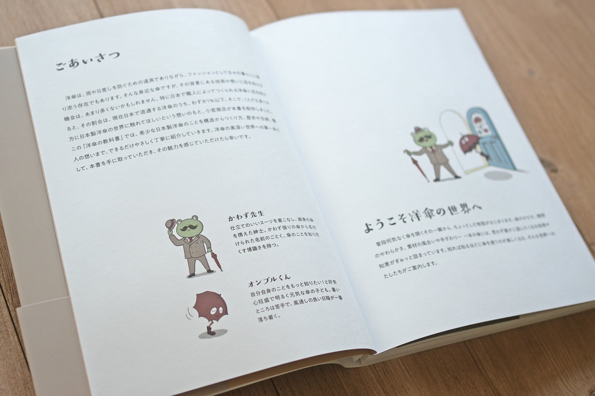 『楽しく詳しく学べる 洋傘の教科書 1％以下の洋傘のこと』