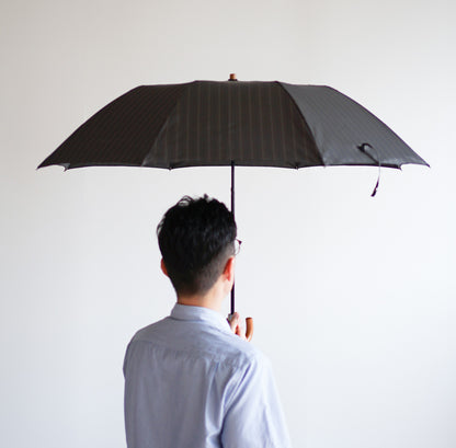 折りたたみ傘 レディース 雨傘 雨晴兼用傘 ポキポキ折らなくていい、ラクラクタイプの折りたたみ傘